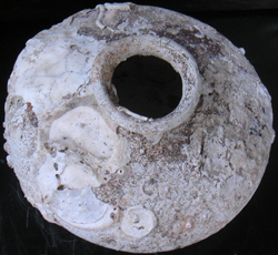 Brown Jarlet from Shipwreck - Chinese Earthenware Ceramics